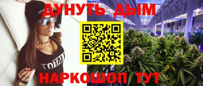 прущие крисы Будённовск