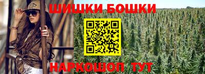 прущие крисы Будённовск