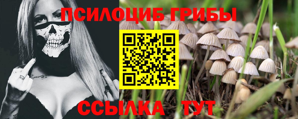 Урай  Псилоцибиновые грибы GOLDEN TEACHER  Псилоцибиновые грибы Magic Shrooms  Вход с VPN 